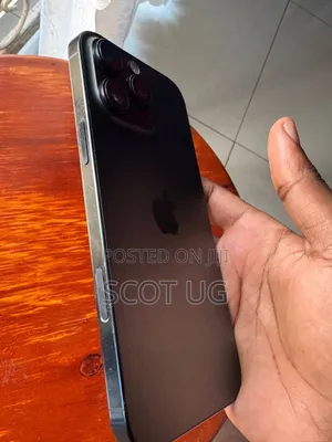 Apple iPhone 16 Pro Max 1 TB Gray