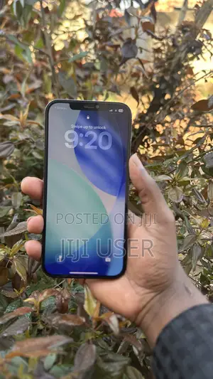 Apple iPhone 12 Pro Max 128 GB Blue
