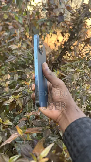 Apple iPhone 12 Pro Max 128 GB Blue