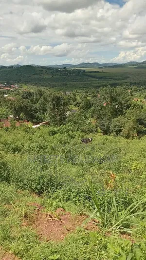 Half Acre of Land in Mpambile