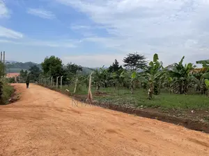 One Acre of Land