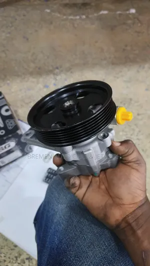 Steering Pump W163