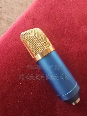 Studio Microphone