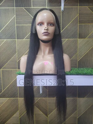 Long Straight Wig