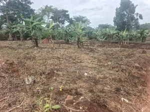 Land for Sale – Namugongo Budugala (Mpoma Estates Road)