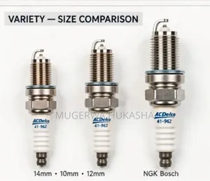 Ignition Coil and Spark Plug [ TOYOTA] _ Plugs _ Coils