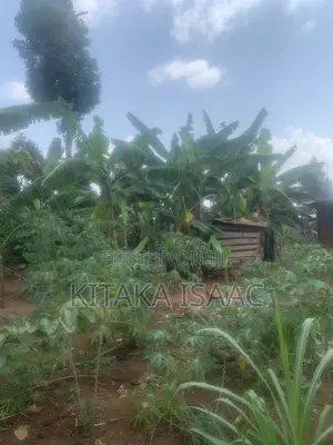 One and Half Acres for Sale