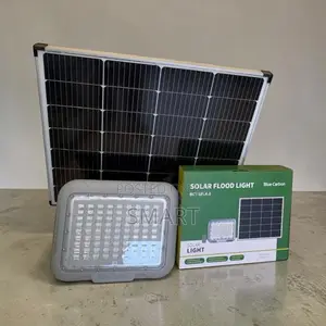 Brighten Every Corner – 500W Blue Carbon Solar Floodlight