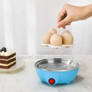 Electric Egg Boiler / Cooker