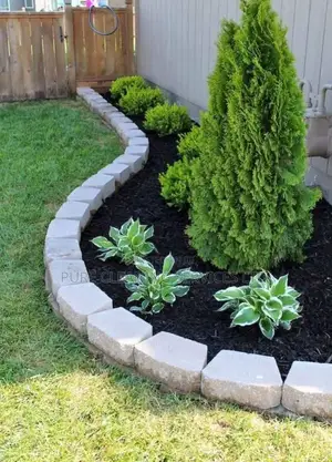 Compound Design