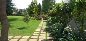 Compound Design