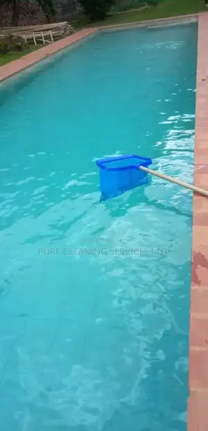 Swimming Pool Cleaning