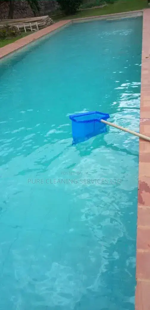 Swimming Pool Cleaning