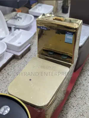 Golden Toilets