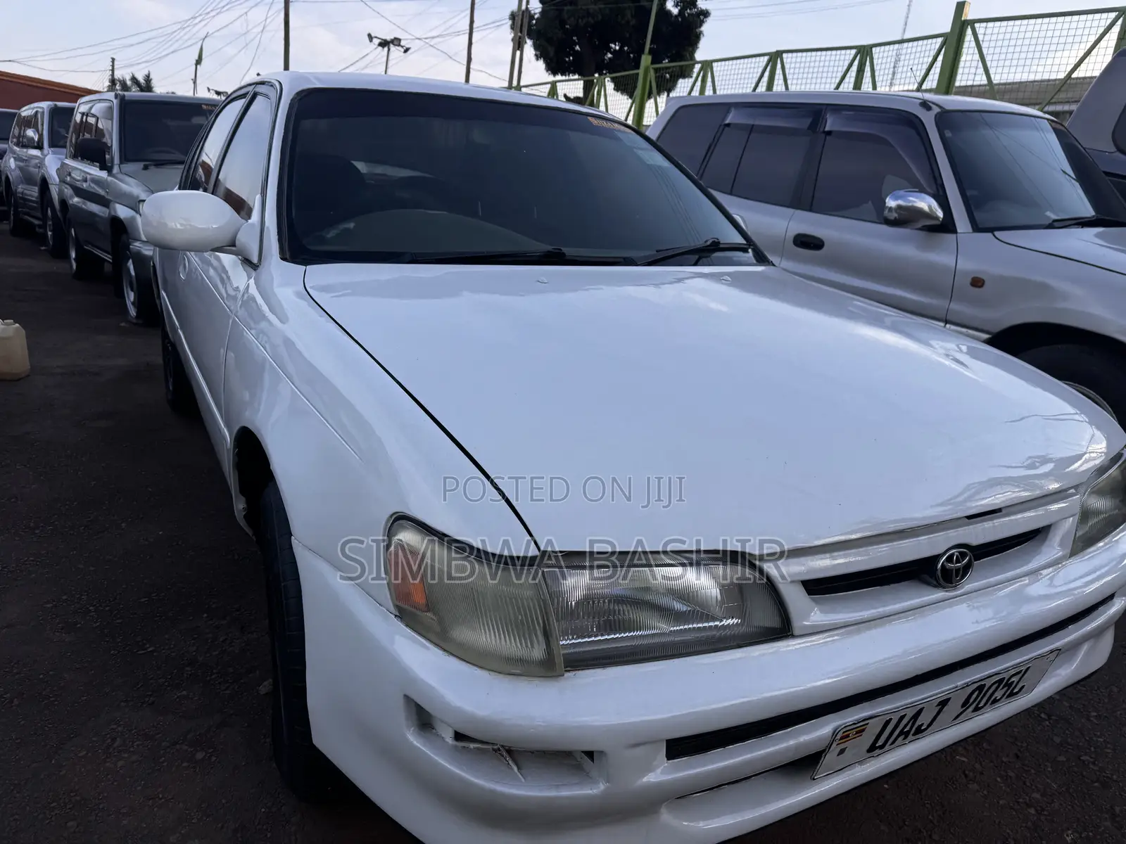 Toyota Corolla 1998 White