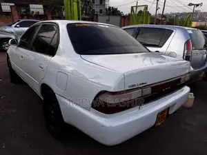 Toyota Corolla 1998 White