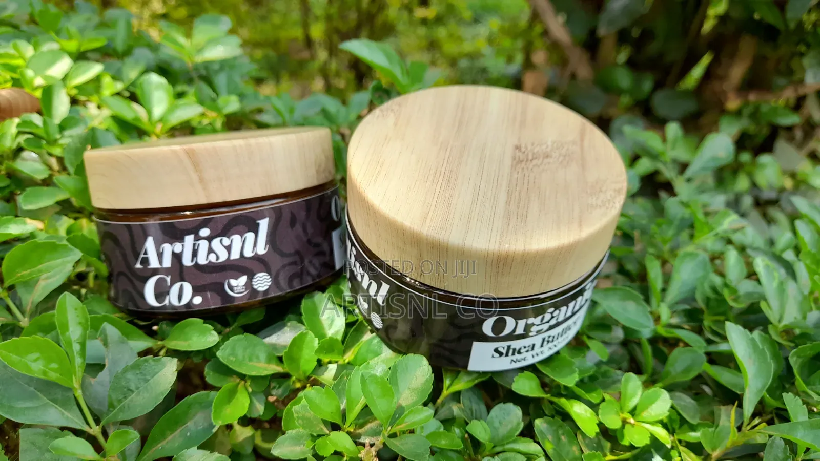 Organic Shea Butter 100g Unscented
