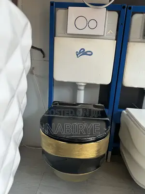 Concealed Toilets Complete Set