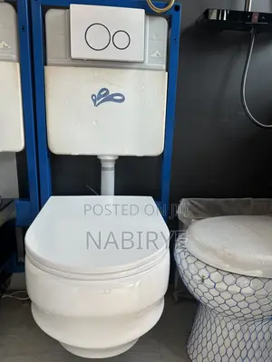Concealed Toilets Complete Set