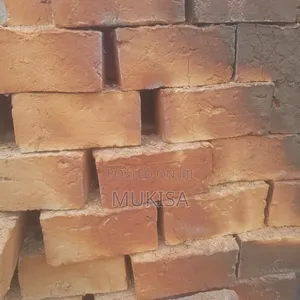 Clay Bricks