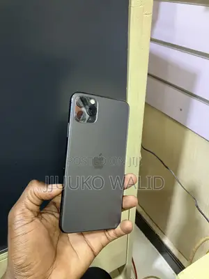 Apple iPhone 11 Pro Max 256 GB Gray