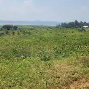 Lakeshore Land/Beach for Sale – Lake Victoria Bugiri, Entebbe Road