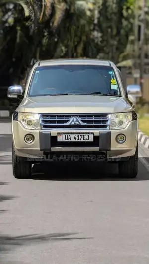 Mitsubishi Pajero 2011 Gray