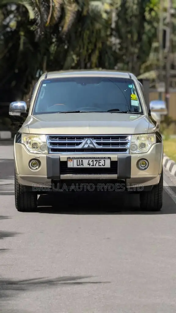 Mitsubishi Pajero 2011 Gray