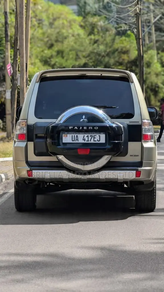 Mitsubishi Pajero 2011 Gray