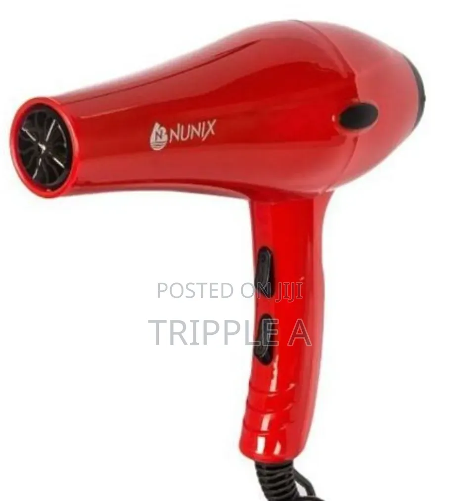 Pro Salon Hair Dryer