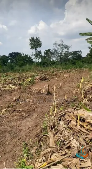 Land for Sale in Bwambale