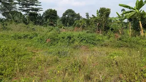 Land for Sale in Bwambale