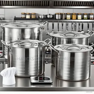 Heavy-Duty Stainless Steel Stock Pot Set With Lids