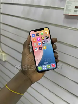 Apple iPhone 11 Pro Max 256 GB Gray
