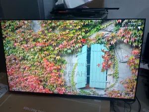 55 Inches Smart Chiq