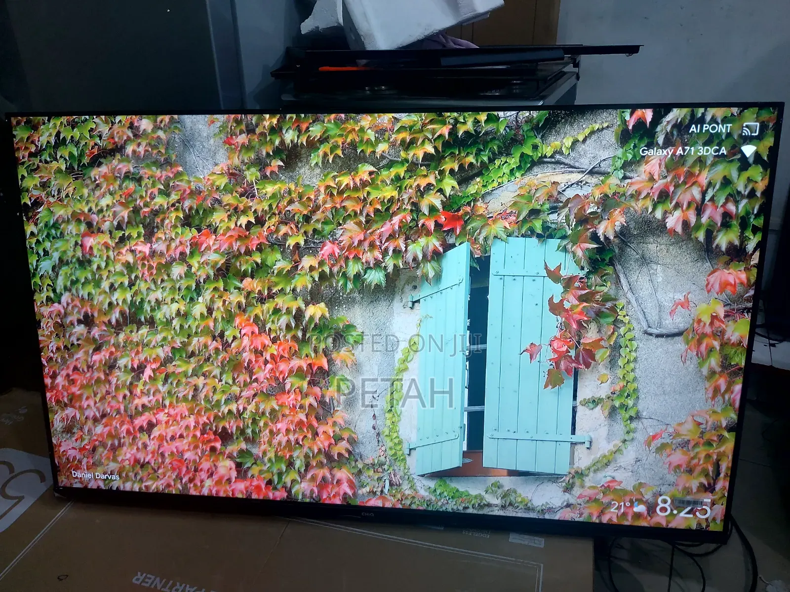 55 Inches Smart Chiq