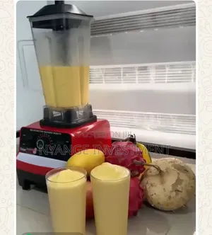 Silver Crest 2L Commercial Blender.