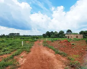 50x100ft Plots for Sale in Zirobwe