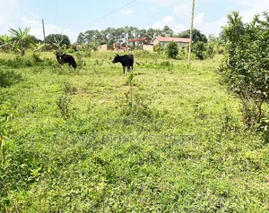Plot for Sale in Bugema, Gayaza Road