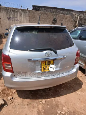Toyota Corolla Fielder 2009 Silver