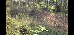 Land for Sale 100×100 Feet [ Land Title]