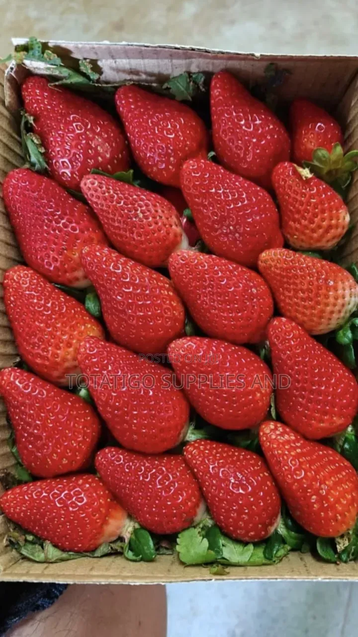 Fresh Strawberries-1 Pack-250g