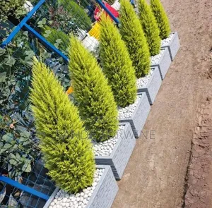 Landscape Design