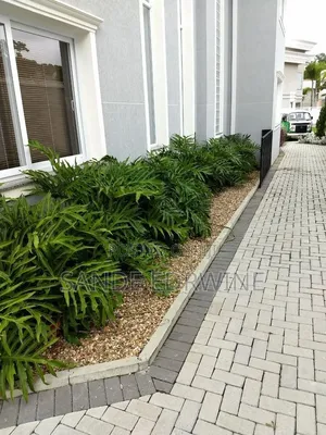 Landscape Design