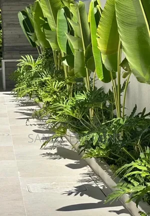 Landscape Design