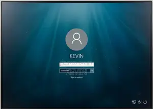 Windows Password Reset
