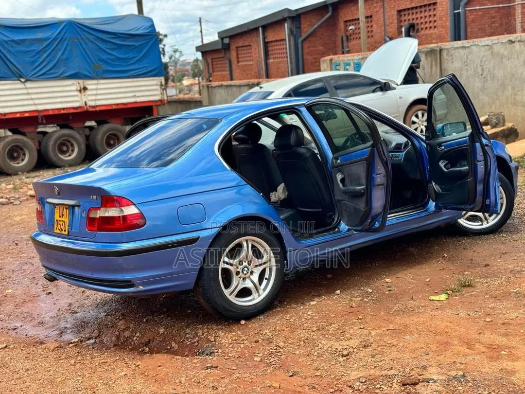 BMW 318i 2002 Blue
