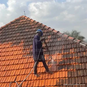 Roof Cleaning Services