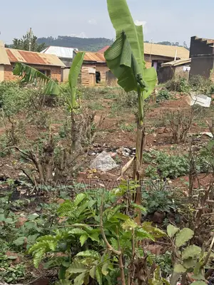 Plot for Sell at Bakka Wakiso District Next to Bakka Police Station