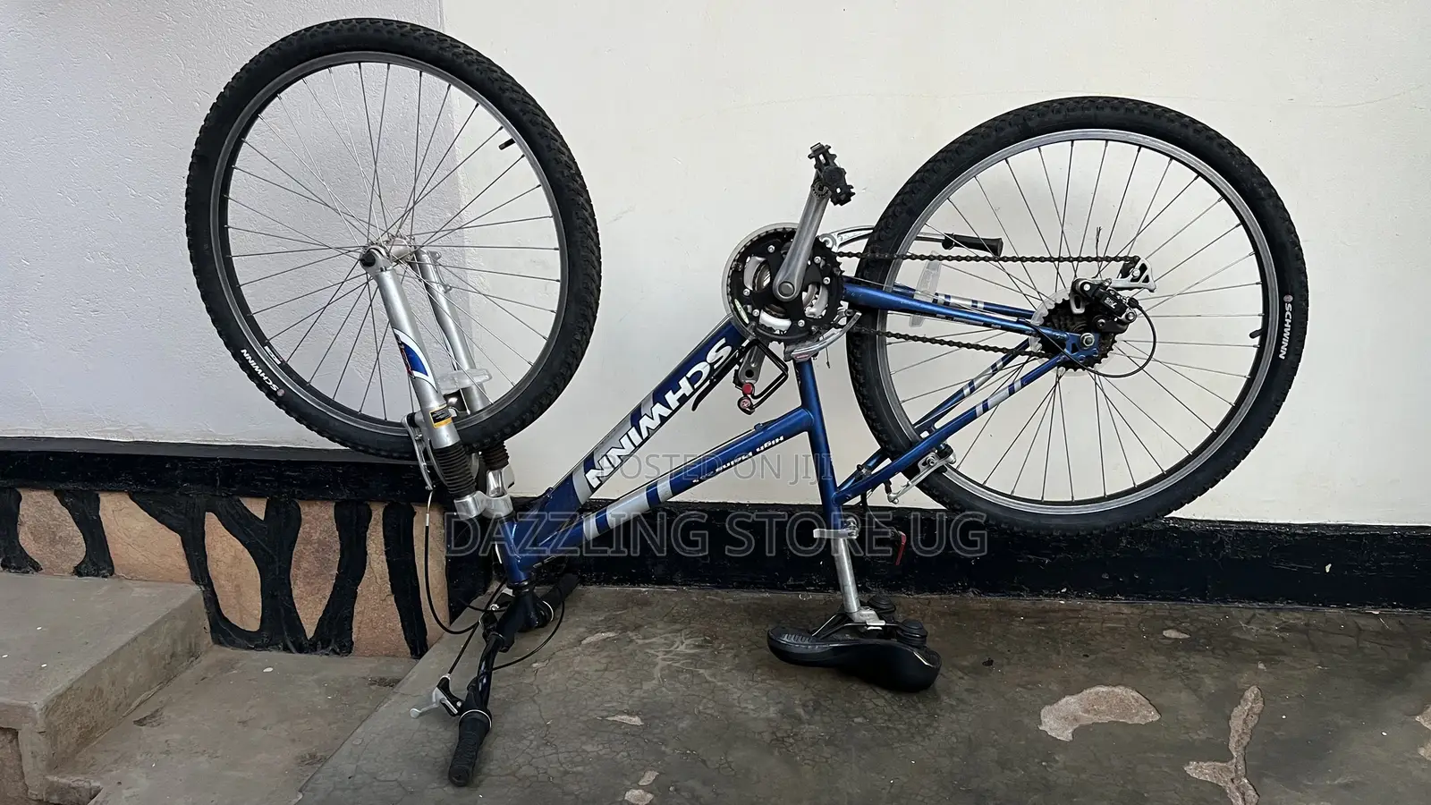 Female Adult Bicycle